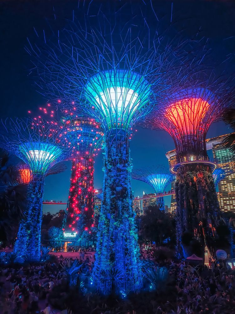 Photograph by Mengguo Li