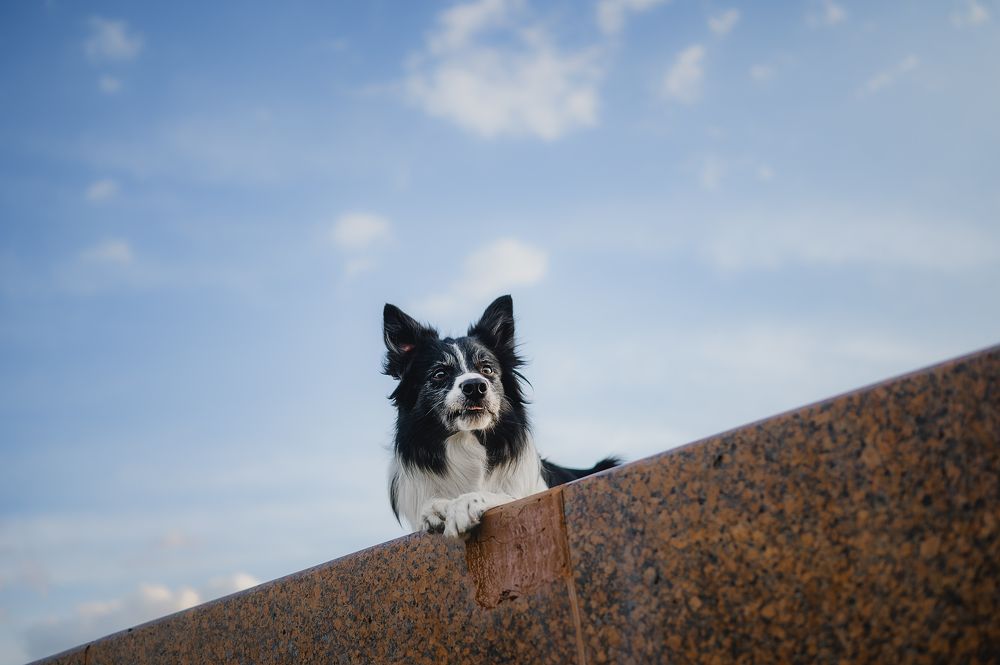 Photograph by Kate Entsi