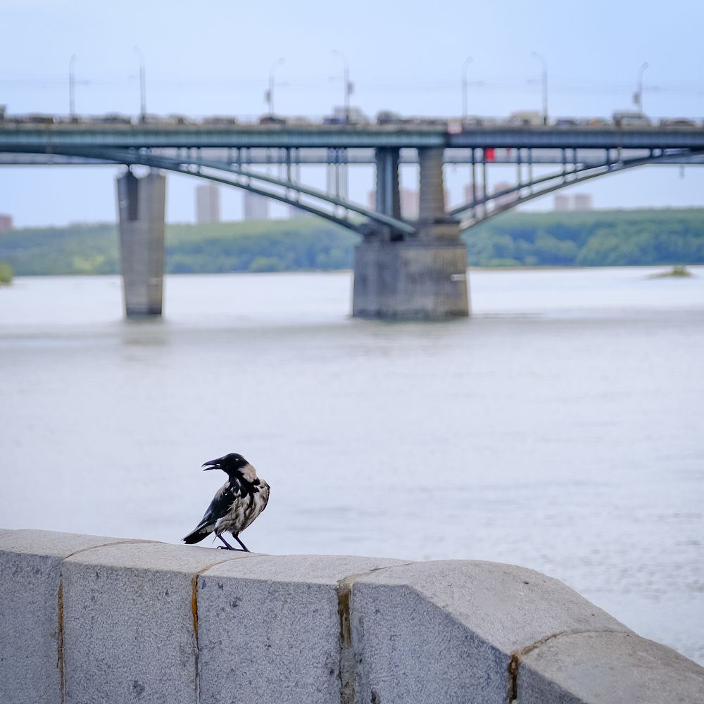 Photograph by Андрей Чернышов