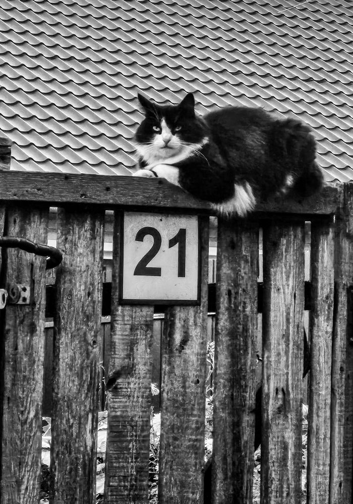 Photograph by Andrey Kondrov