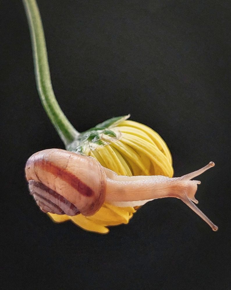 Photograph by Анна Чичилова