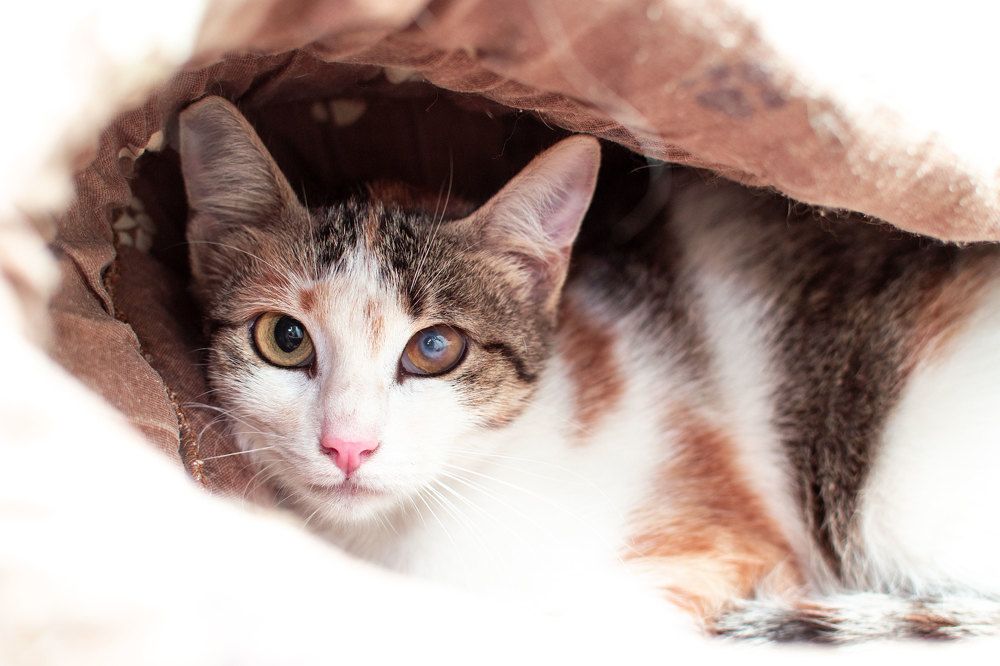 Photograph by Мария Берзина