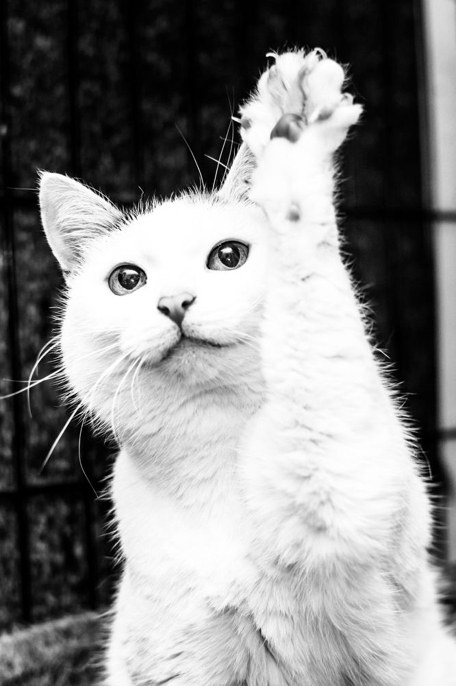 Photograph by Мария Берзина