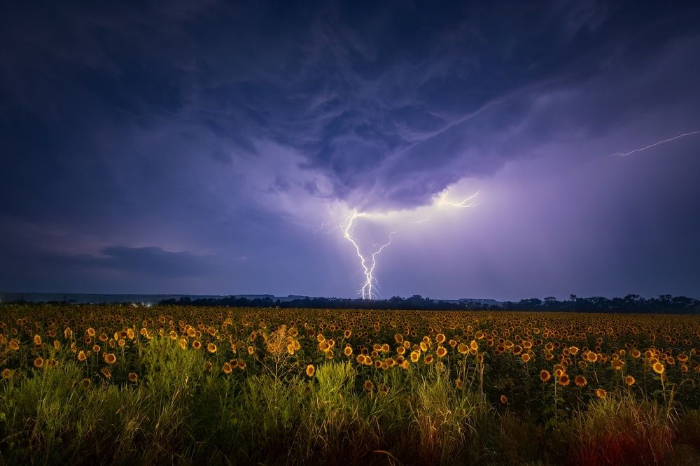 Photograph by Елена Ермолина