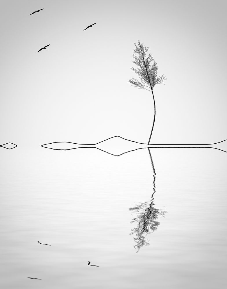 Photograph by Мариана Добрева