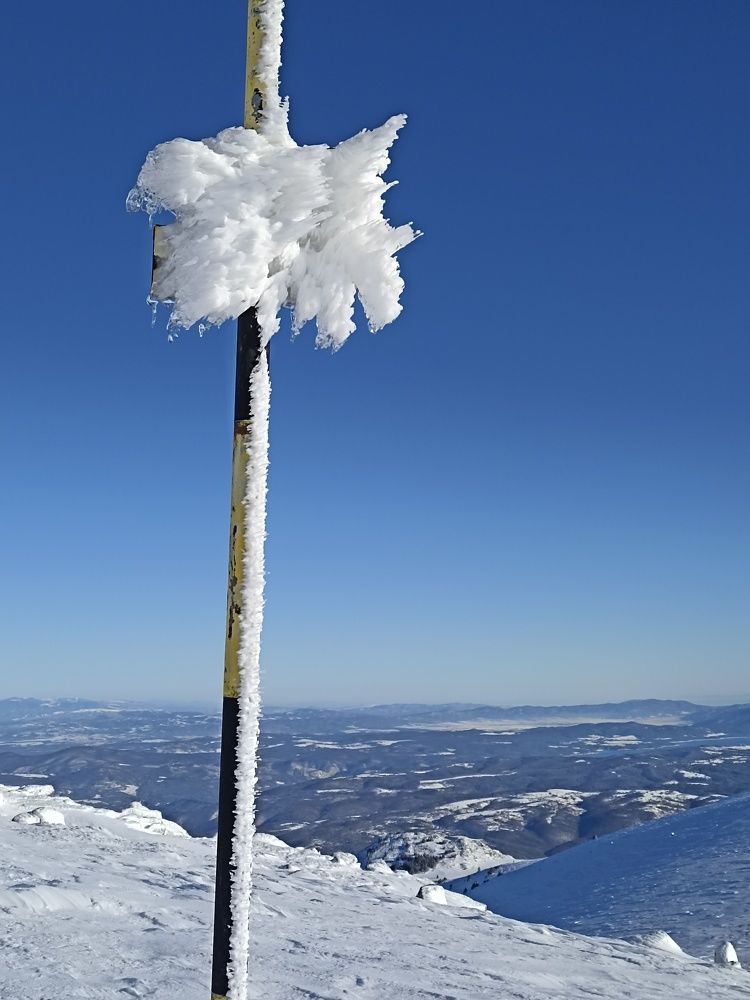 Photo #10331414