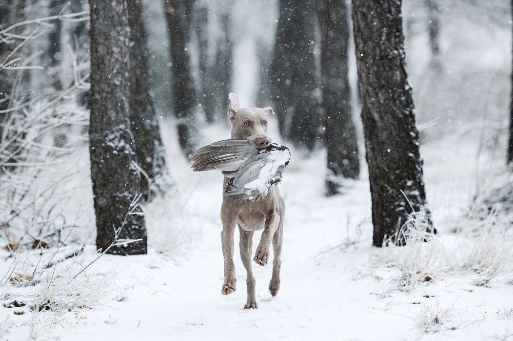 Фотография автора Мавлютова Алена