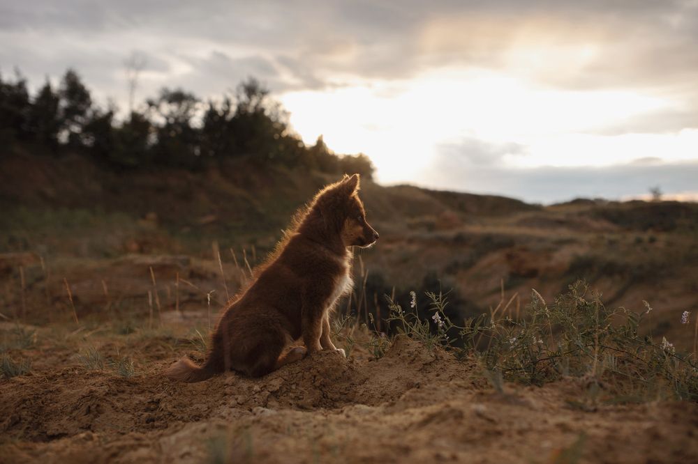 Фотография автора Мавлютова Алена