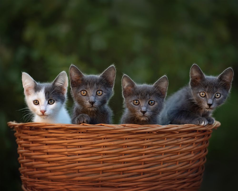 Photograph by Татьяна Самойлова