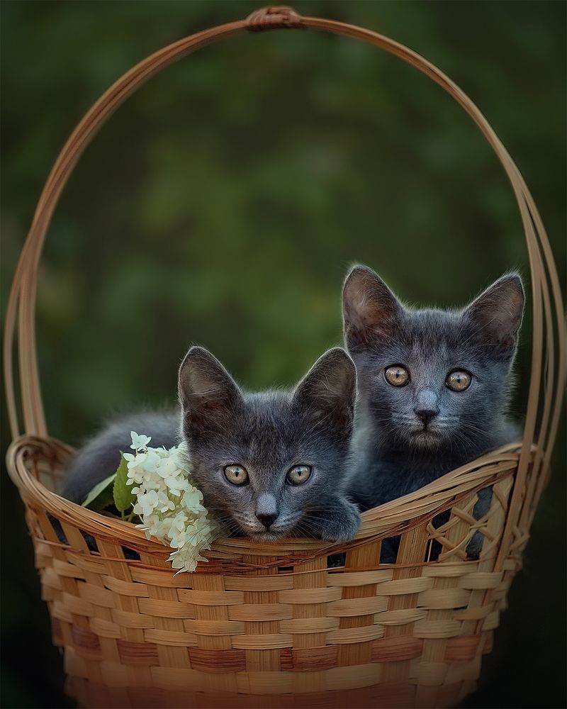 Photograph by Татьяна Самойлова