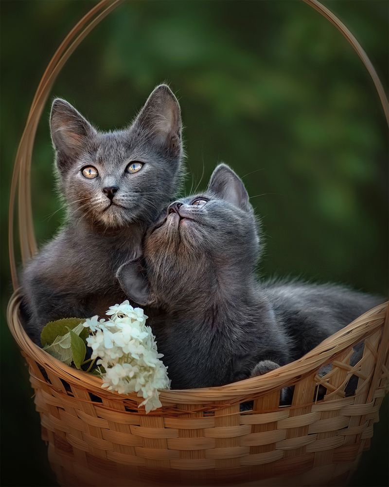 Photograph by Татьяна Самойлова