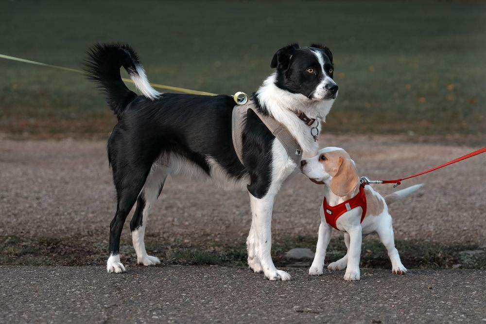 Photograph by Anya Lo