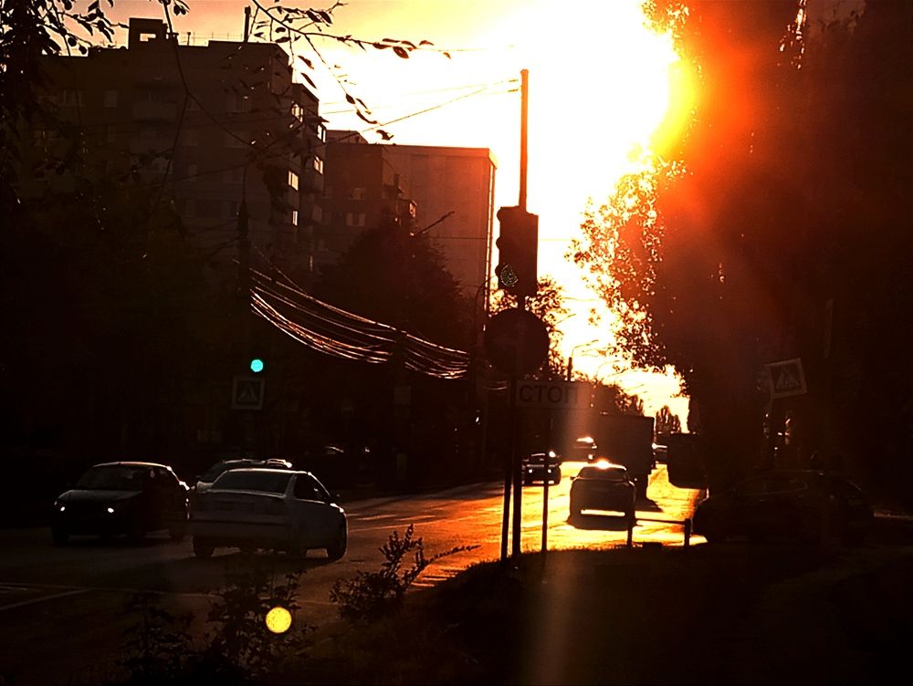 Photograph by Михаил Гончаров