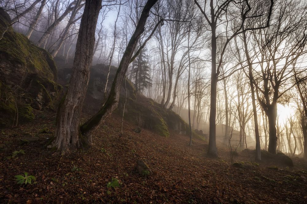 Photograph by Головченко Юрий