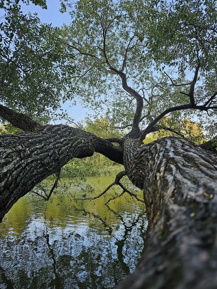 Фотография автора Мария Рудаковская