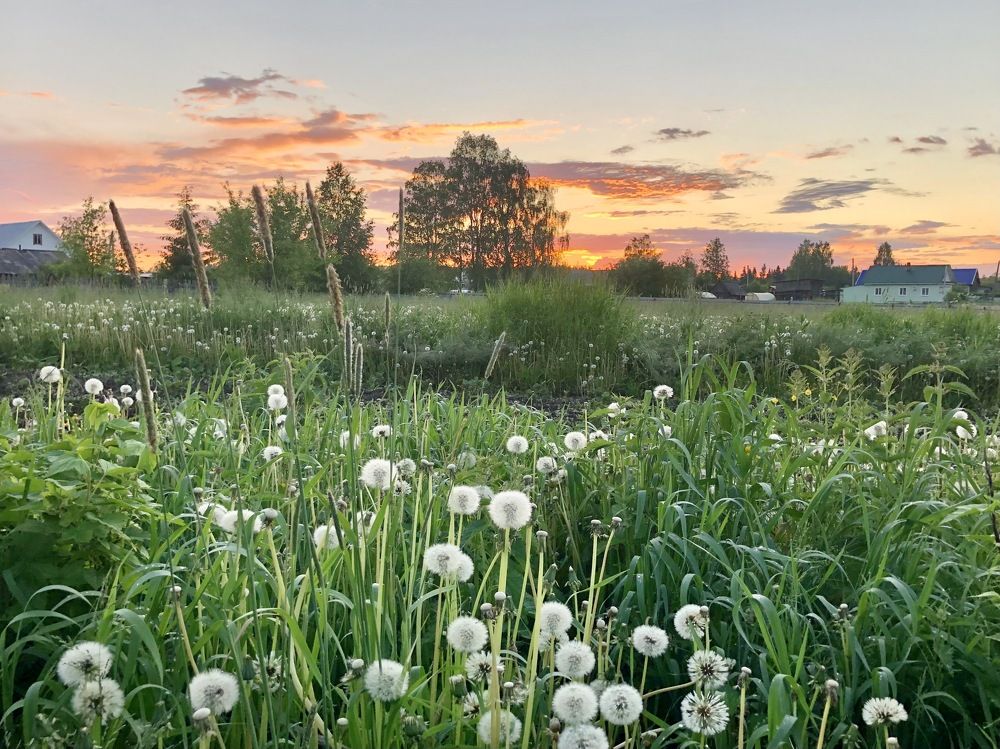 Деревня на закате