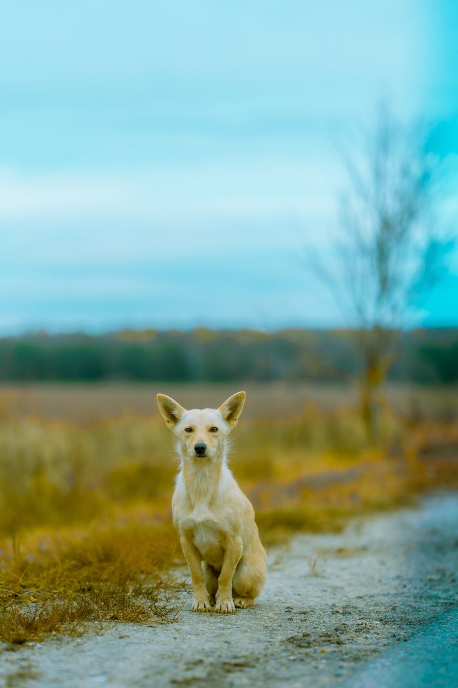 Photograph by Иван Никонов