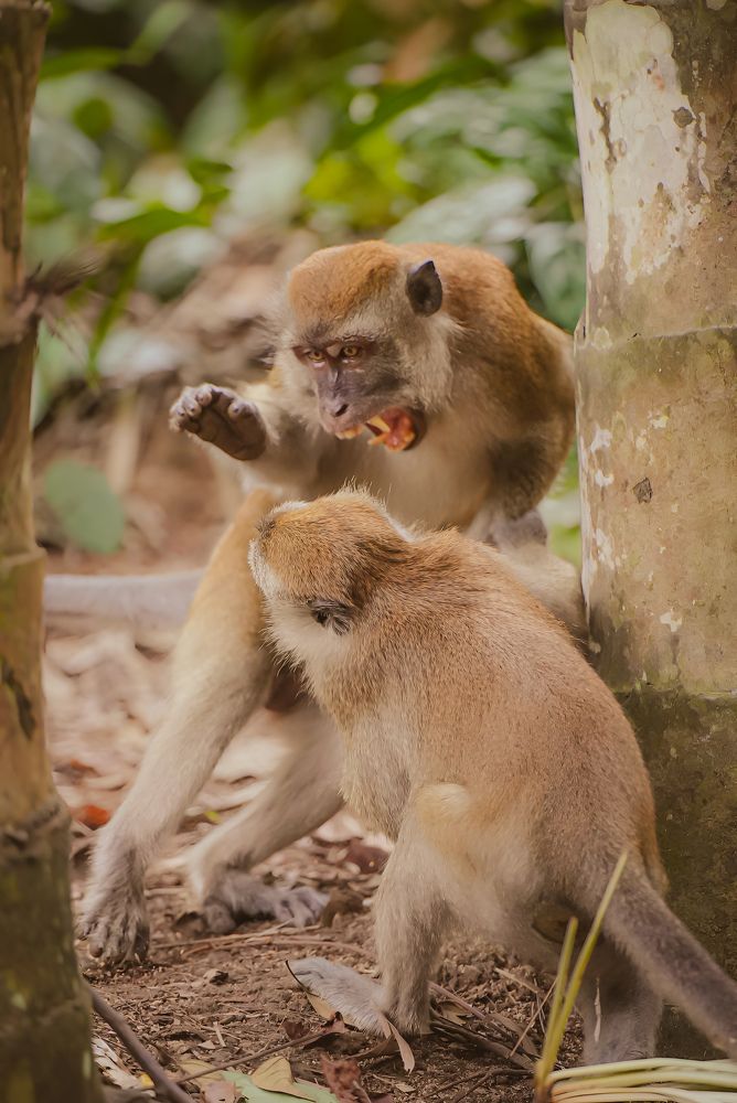 Photograph by Lee Yao Fui