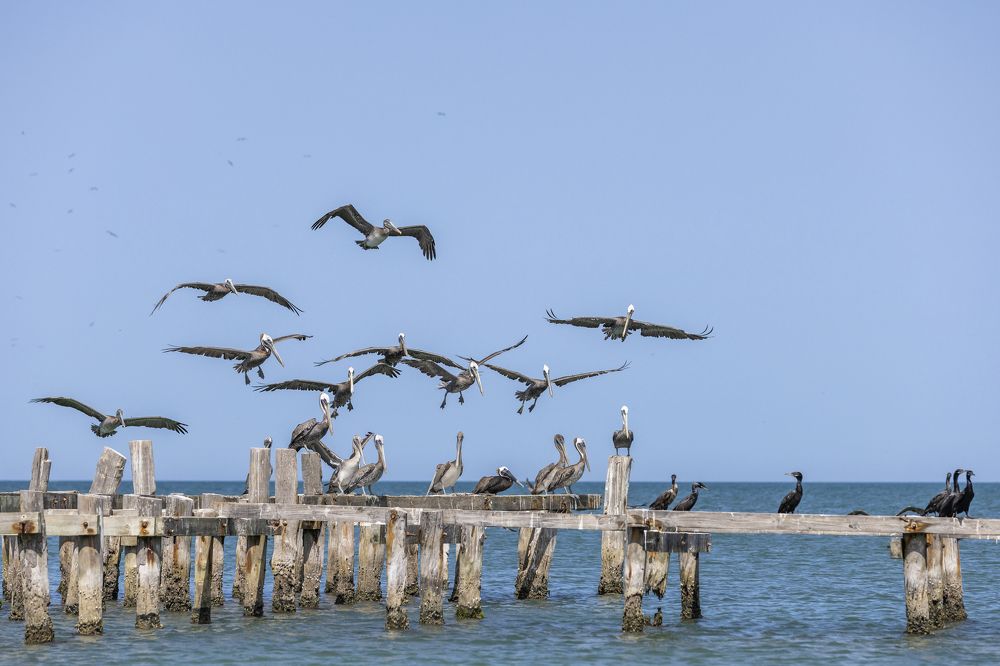 Photograph by Иван Соловьёв