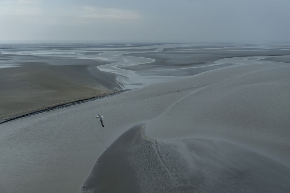 Фотография автора Ирина Зайцева