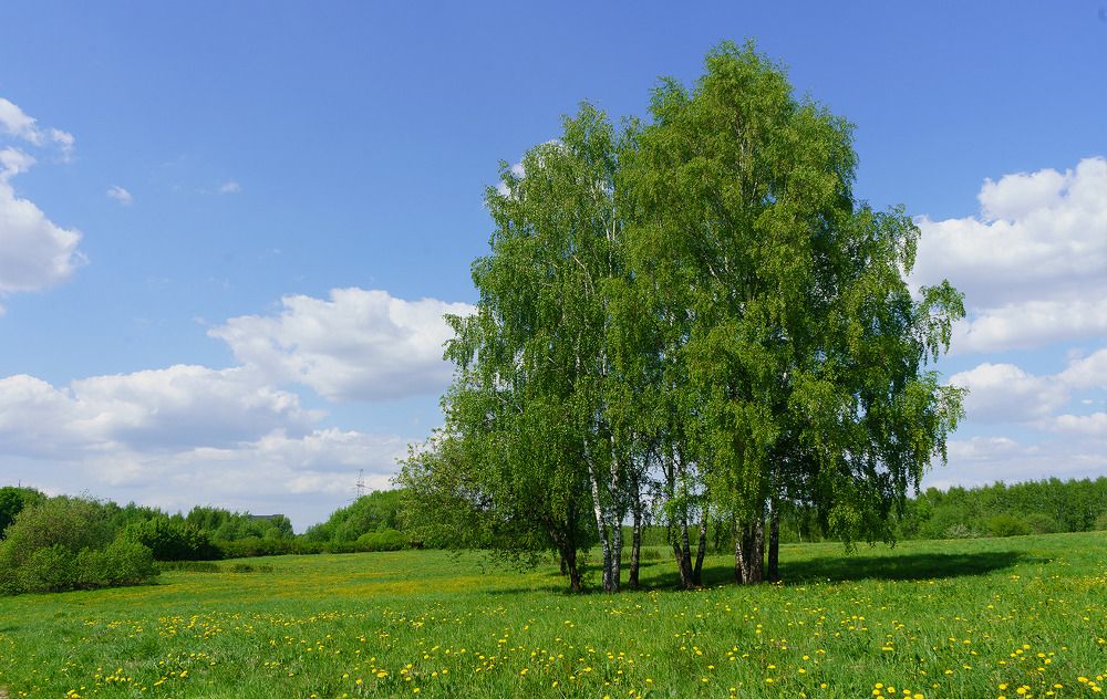 Photograph by Виктория Лаврова