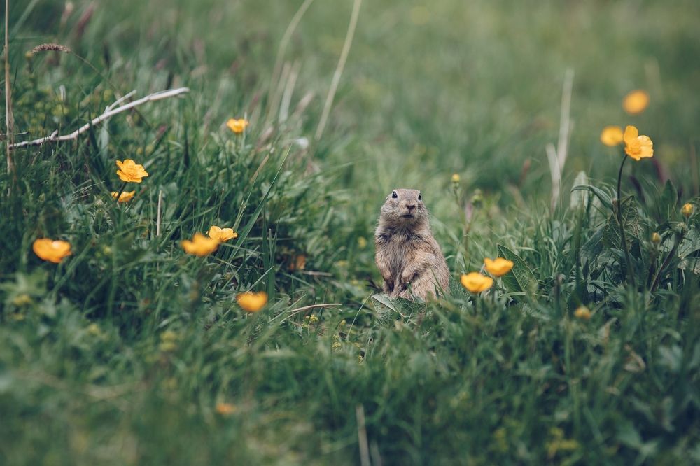 Photograph by Никита Воронин
