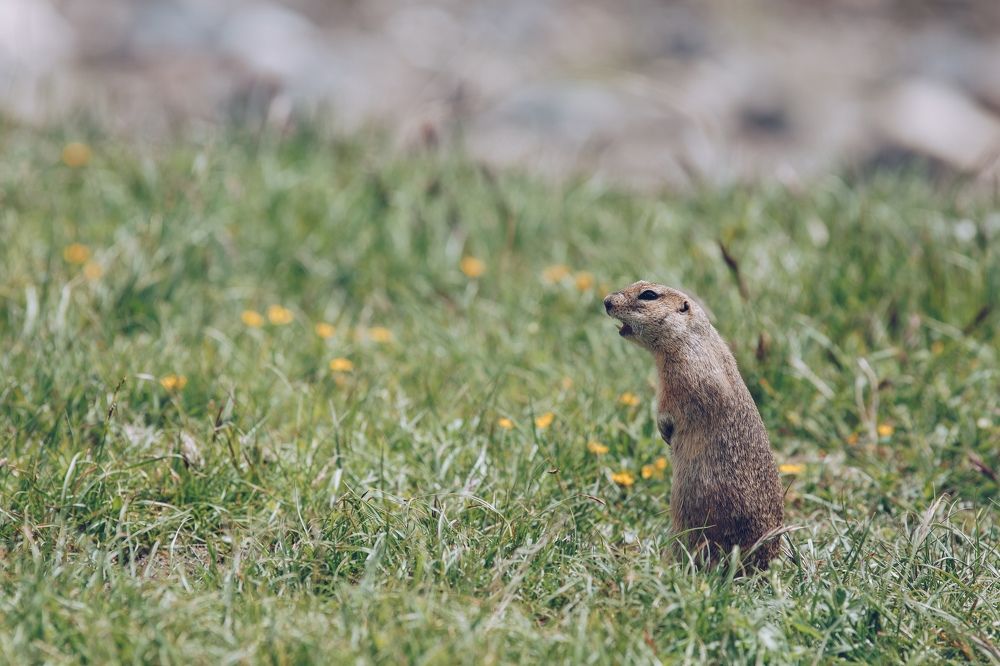 Photograph by Никита Воронин