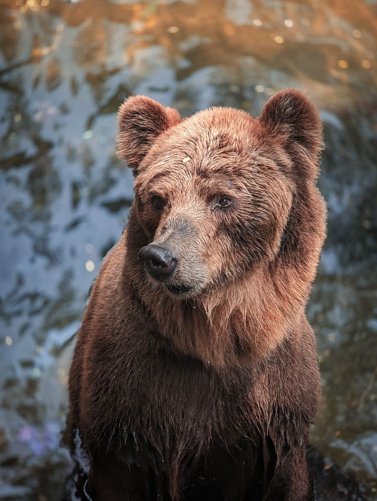 Photograph by Dilan Daniel