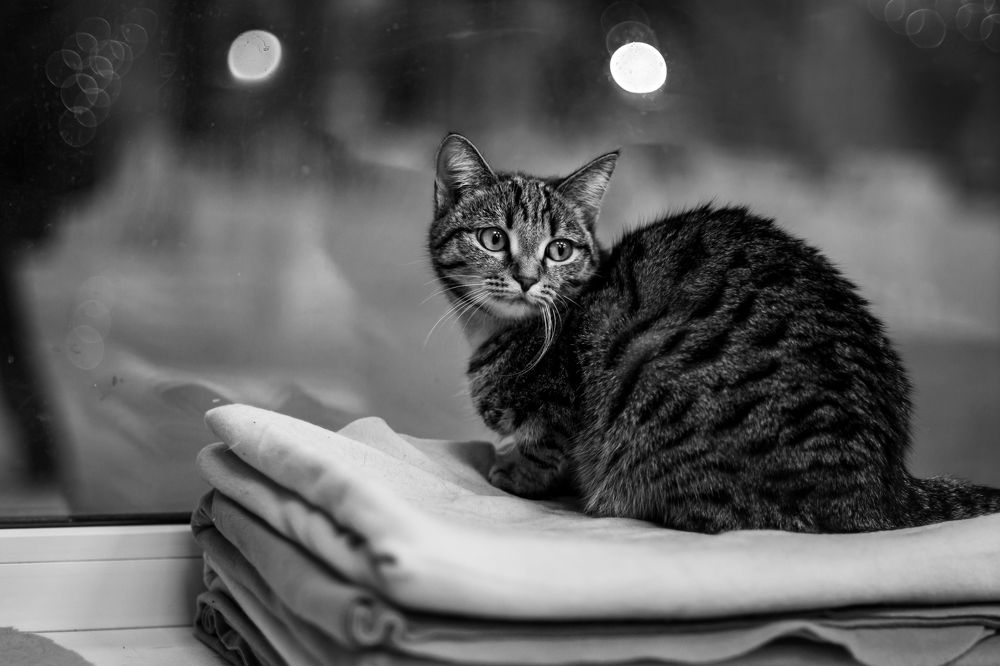 Photograph by Елена Берсенёва