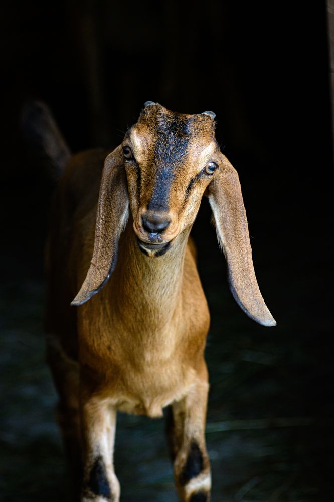 Photograph by Елена Берсенёва