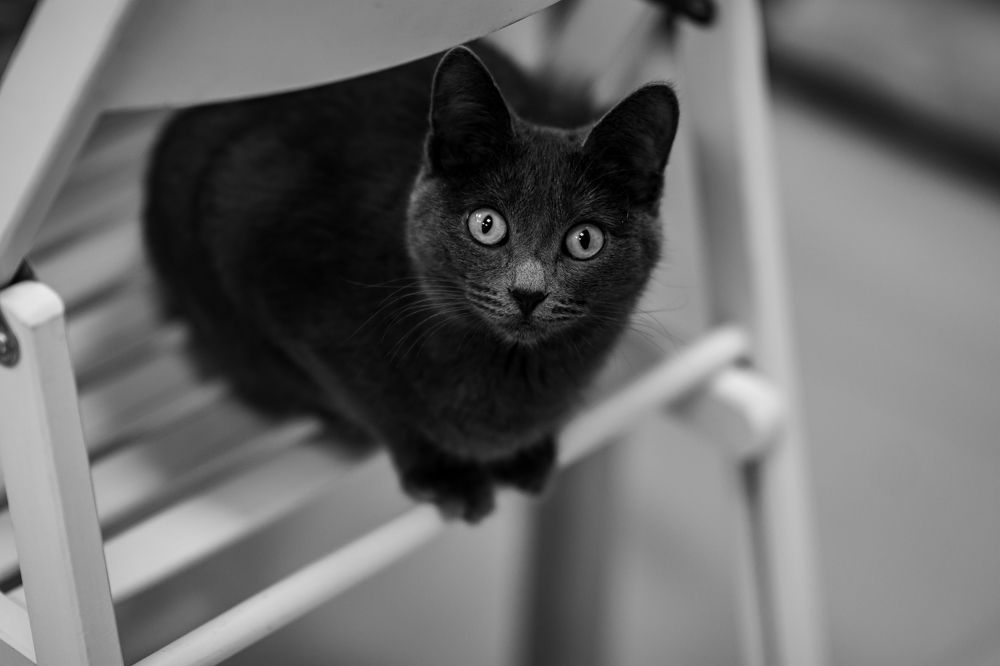 Photograph by Елена Берсенёва