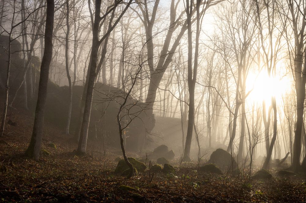 Photograph by Головченко Юрий