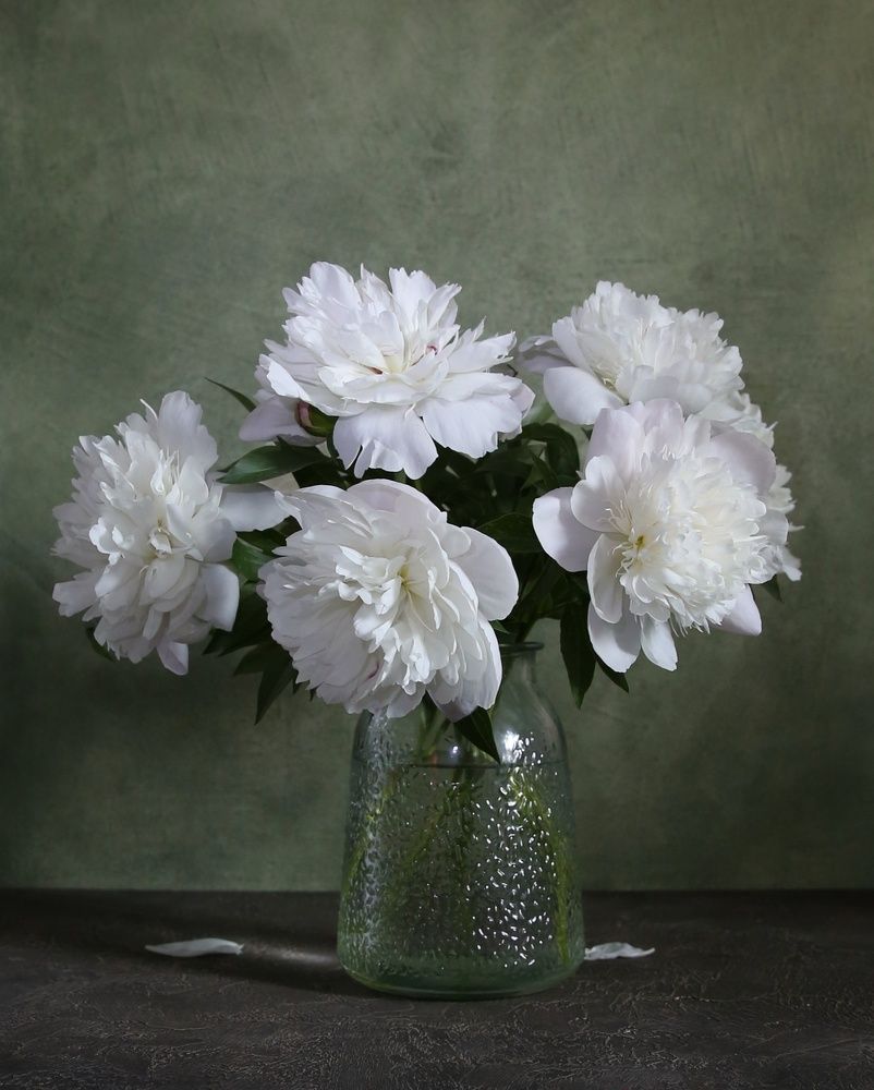 Photograph by Елена Бородина