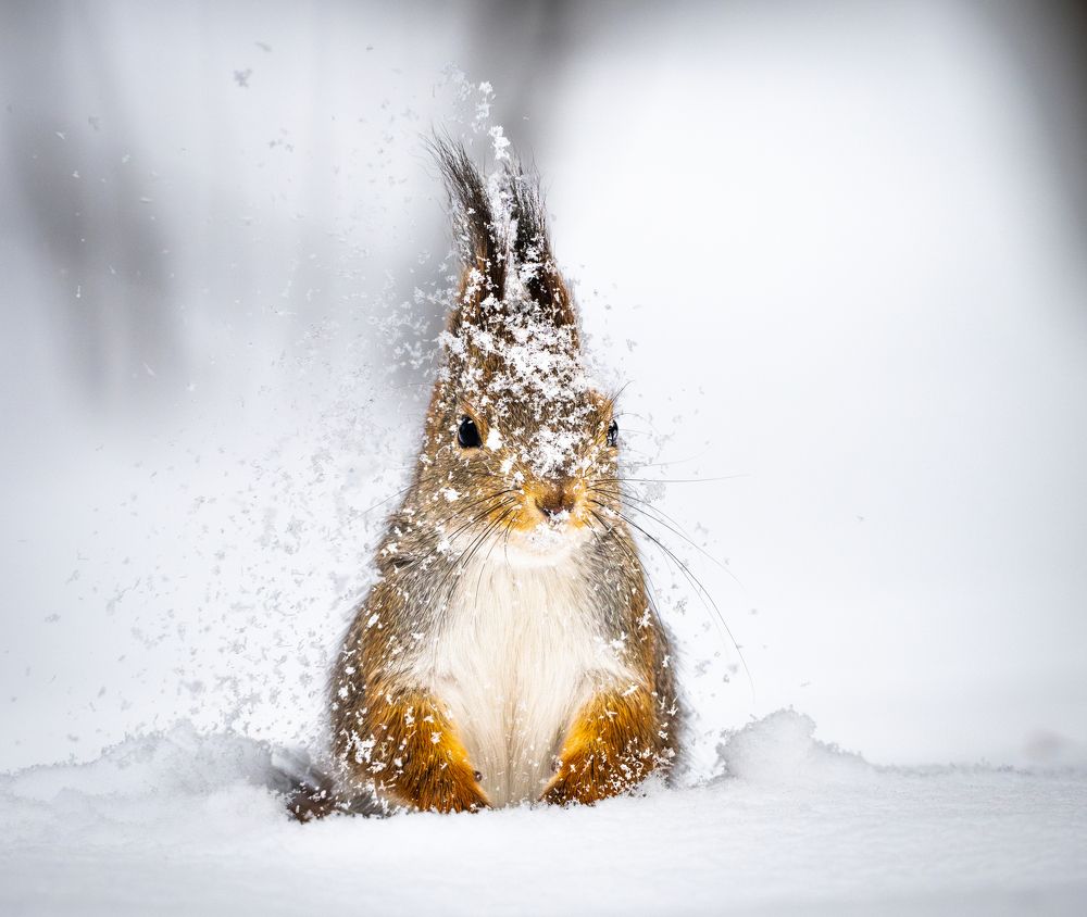 Photograph by Gevork Gukasyan