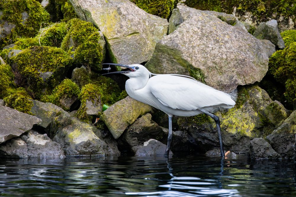 Photograph by Gevork Gukasyan