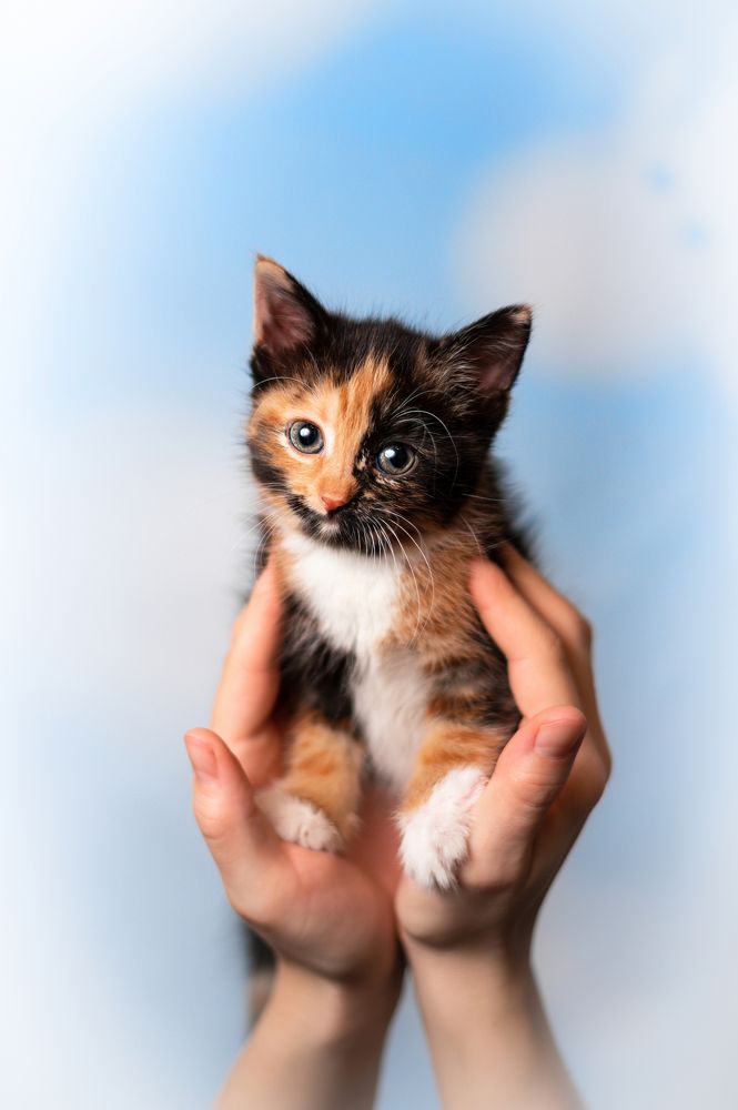 Photograph by Lesnoe Photo