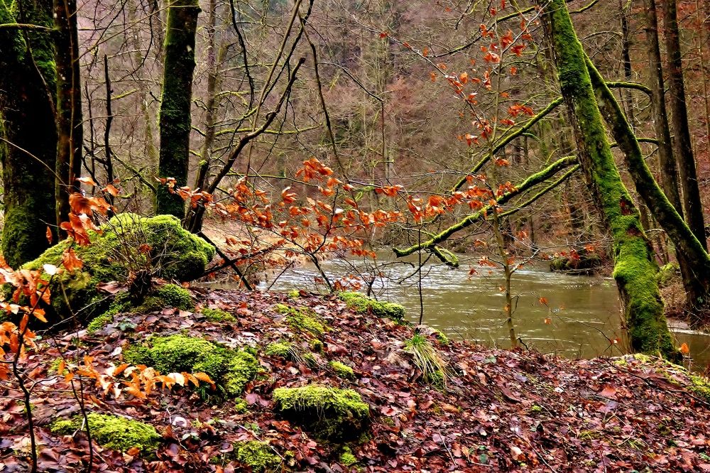 Photograph by backareva irina