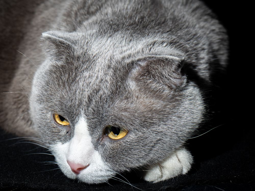 Фотография автора Виталий Гавронский