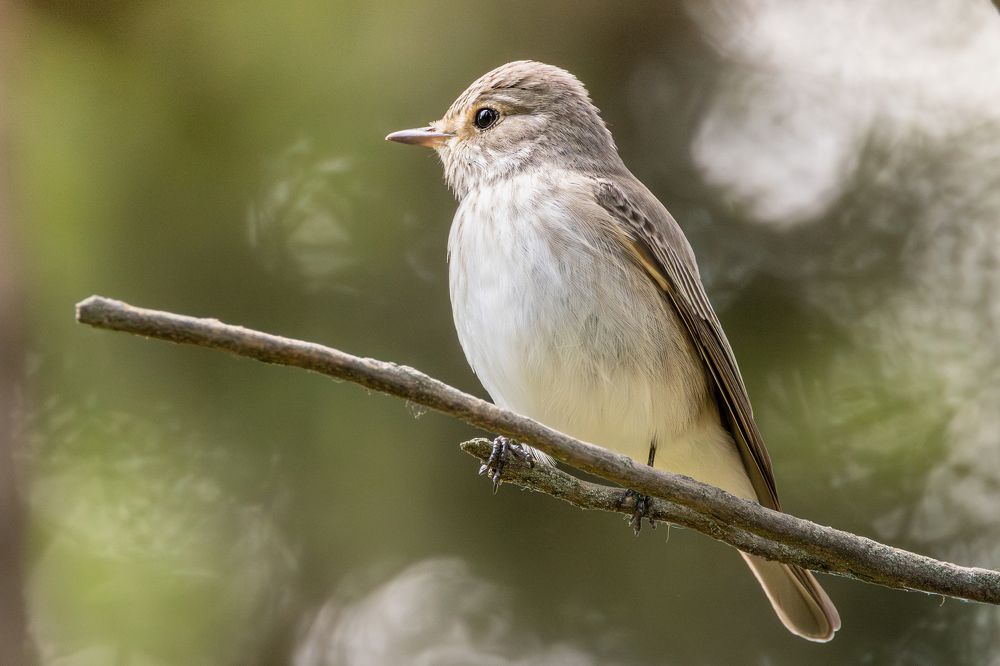Photograph by Gevork Gukasyan