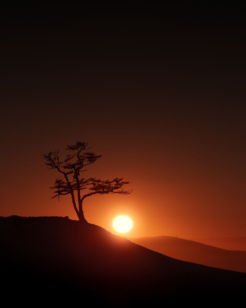 Photograph by Антон Шваин