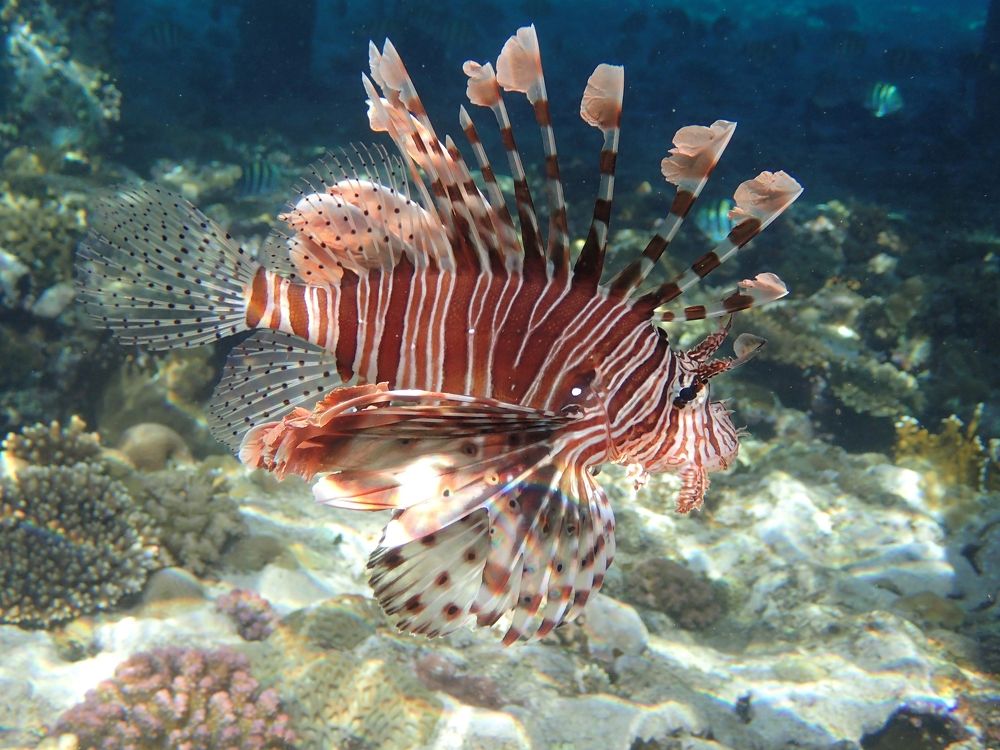 Photograph by Андрей Анатольевич