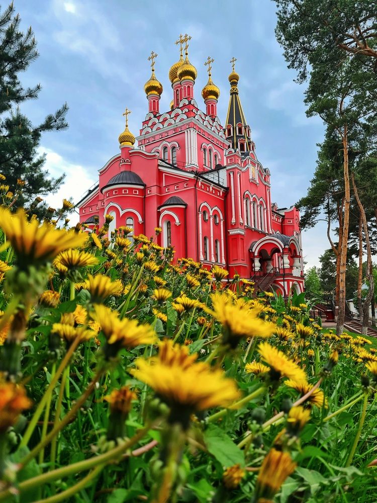 Photograph by Александра Мозаляускас