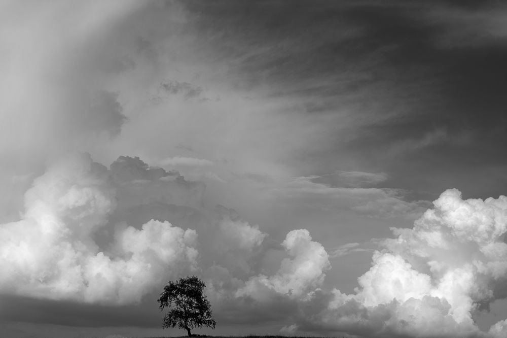 Photograph by Андрей Шарапов