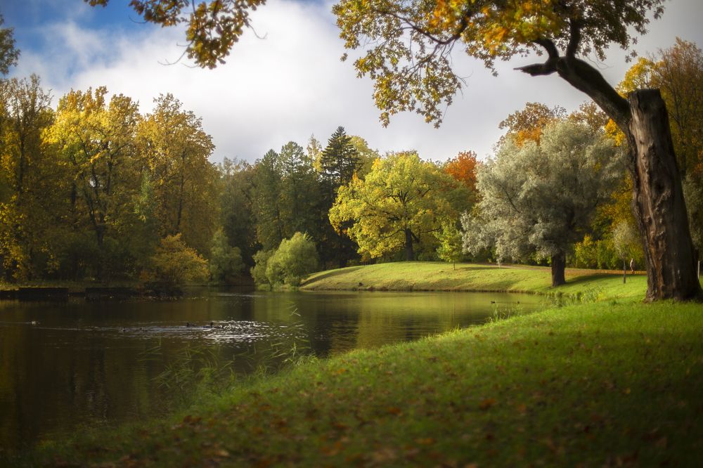 Photograph by ЕВГЕНИЙ СКАЛОЗУБОВ
