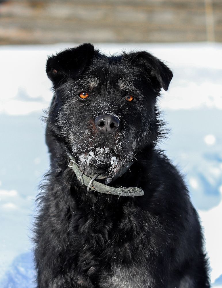 Фотография автора Игорь Васильев