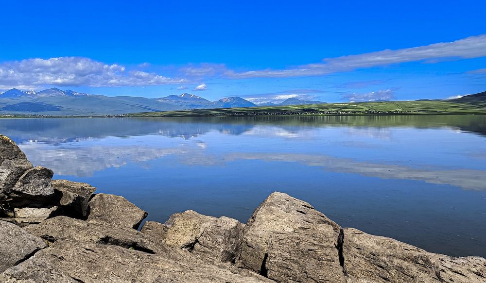 Photograph by Alex Kalpus