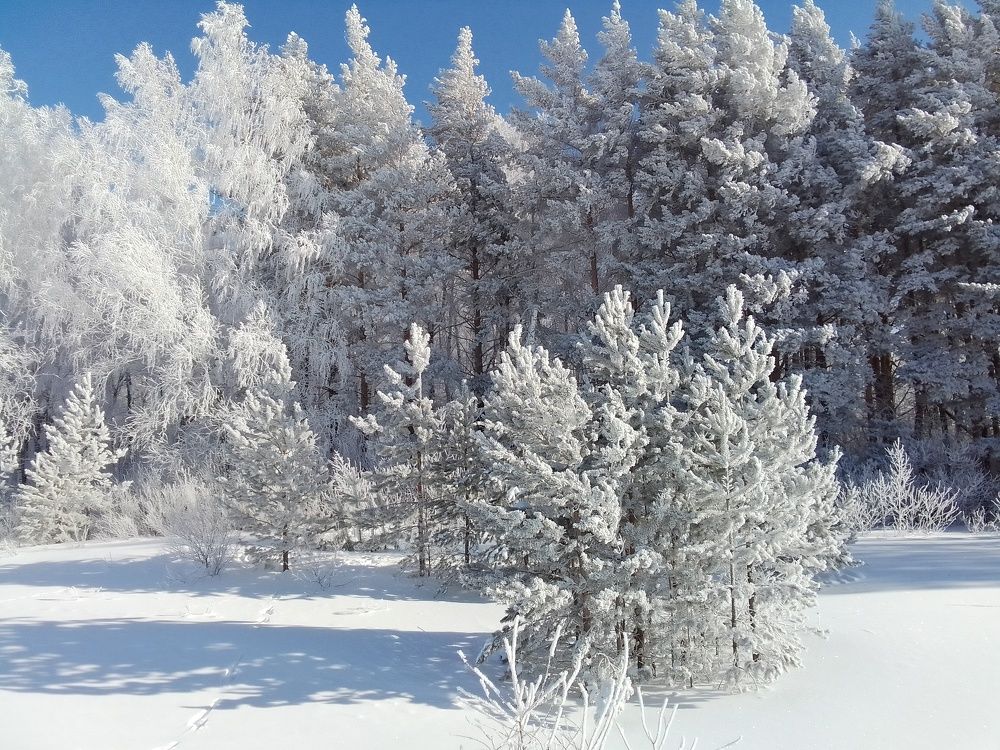 Photograph by Лилия Исхакова