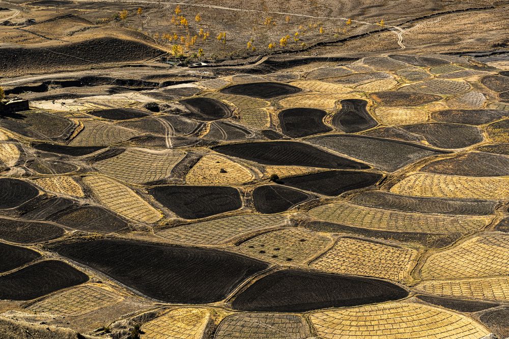 Photograph by Samichin Bhattacharjee