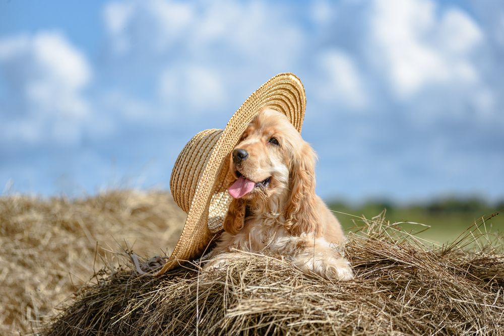 Photograph by Мария Егорова