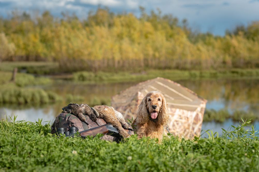 Photograph by Мария Егорова